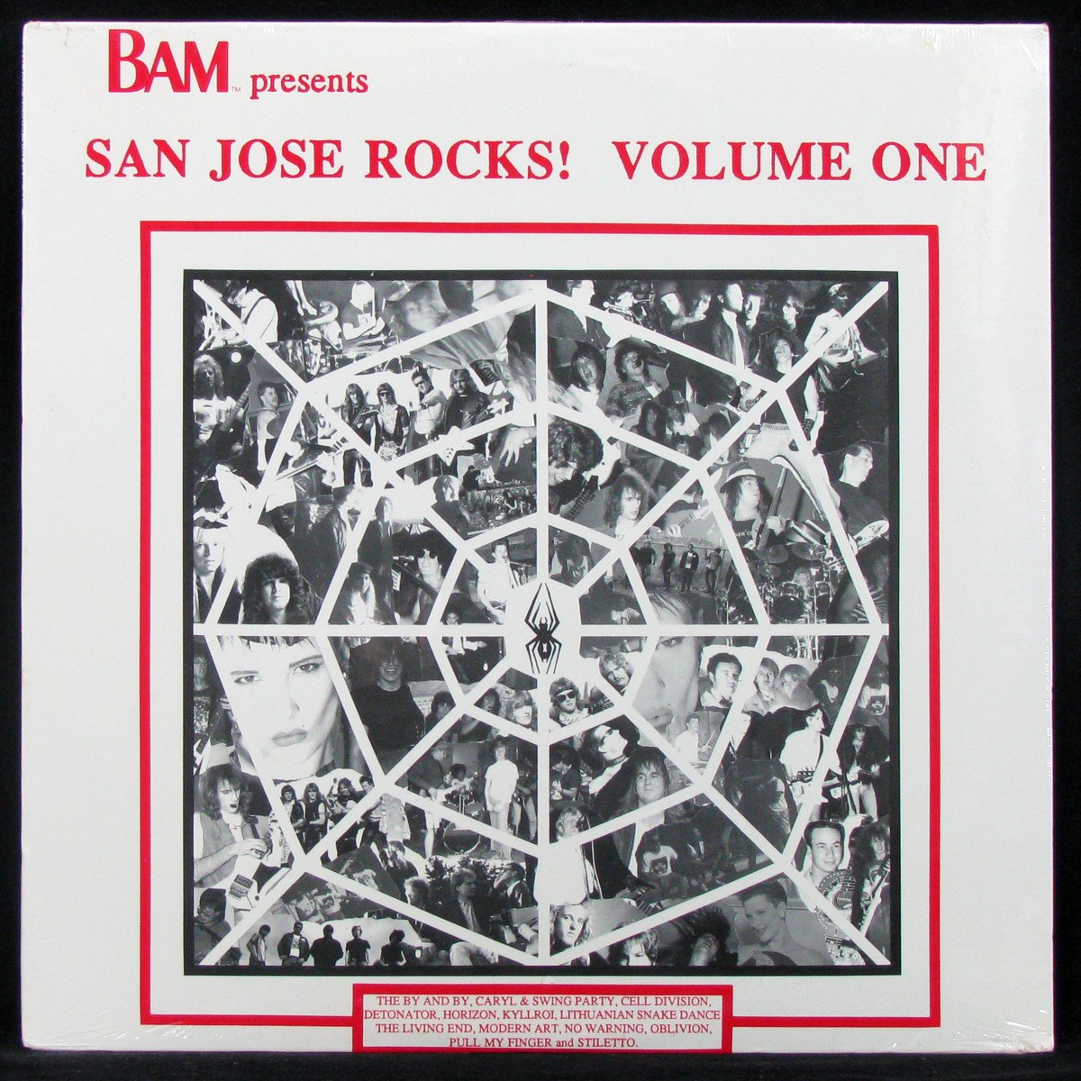 LP V/A — San Jose Rocks! Volume One (sealed original) фото
