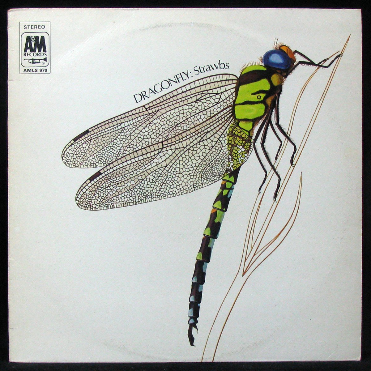 LP Strawbs — Dragonfly фото