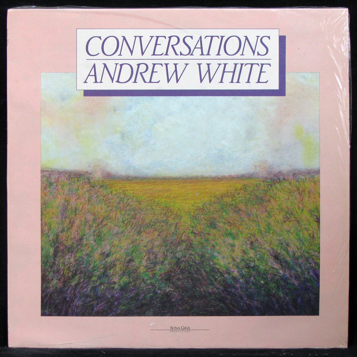 LP Andrew White — Conversations фото