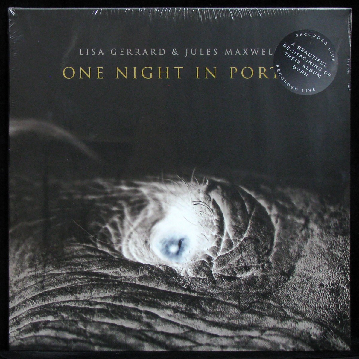 LP Lisa Gerrard / Jules Maxwell — One Night In Porto (coloured vinyl) фото