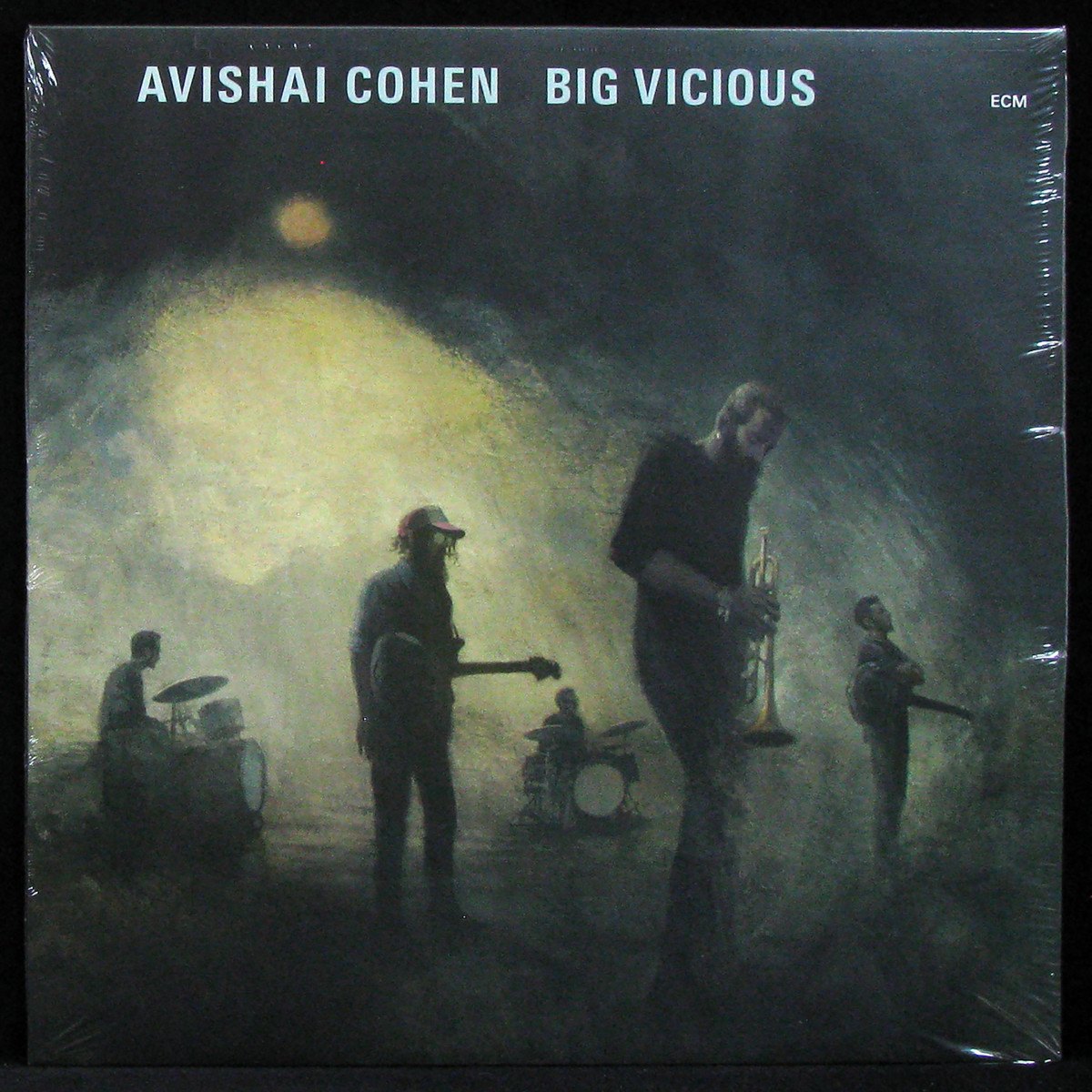 LP Avishai Cohen — Big Vicious фото