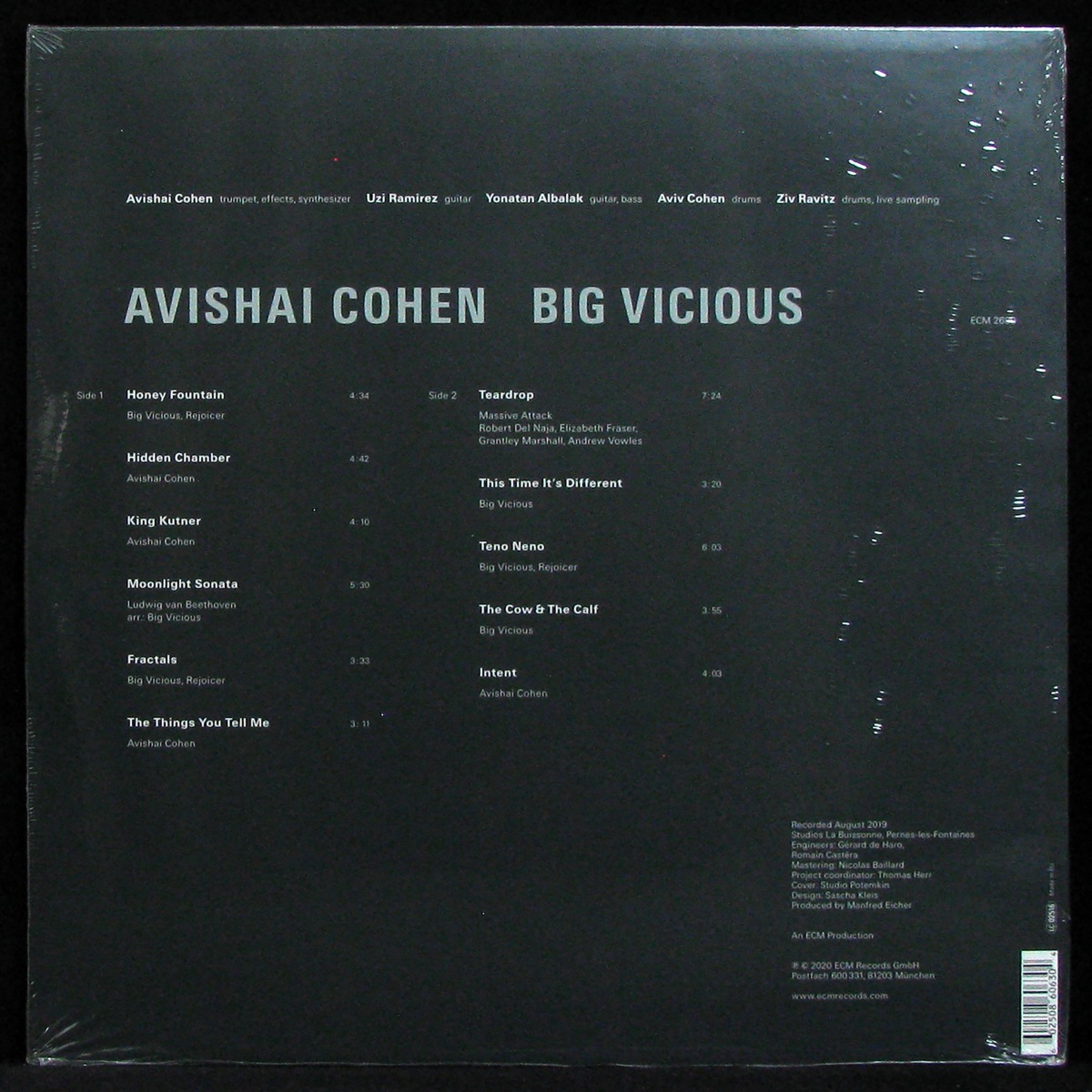 LP Avishai Cohen — Big Vicious фото 2
