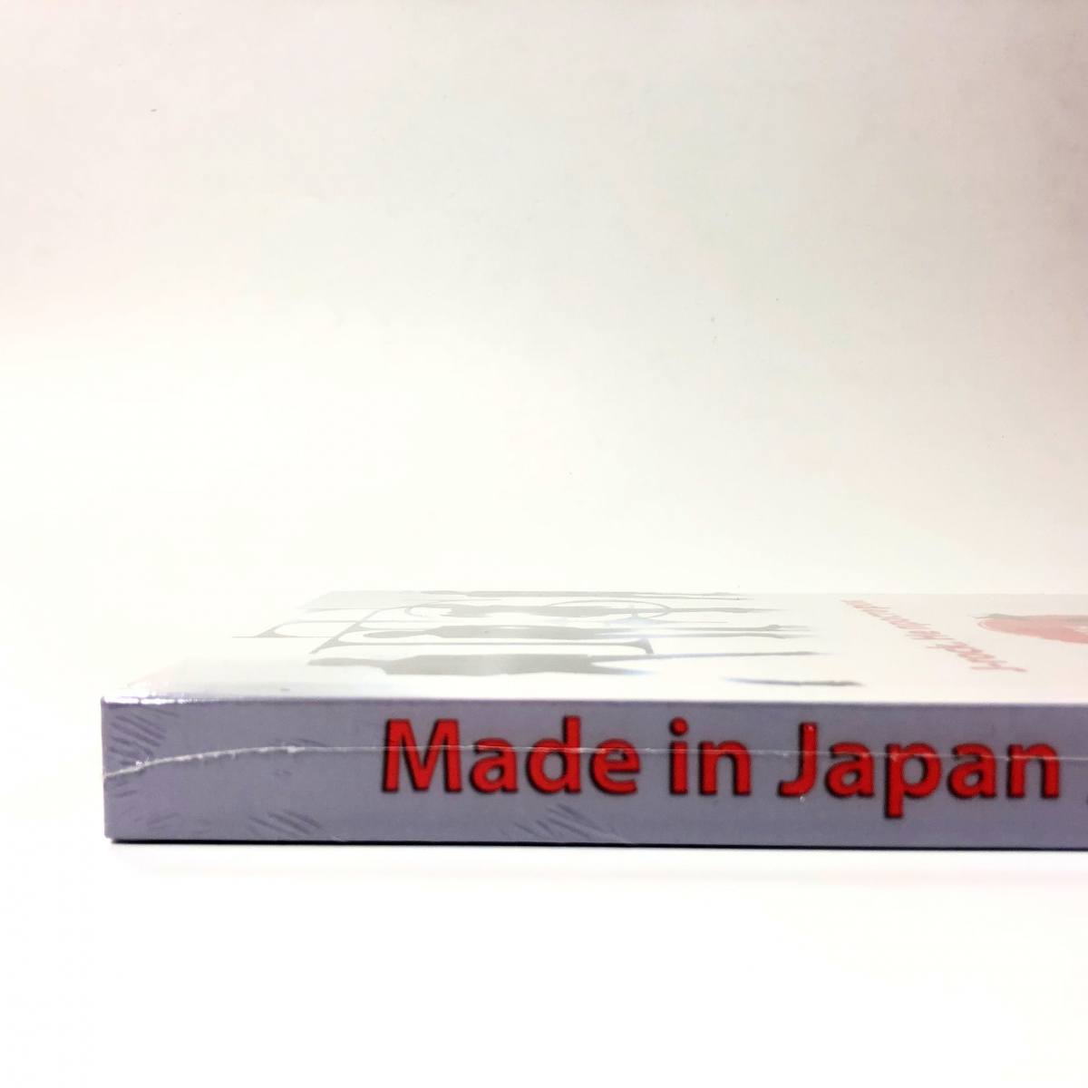 Молочковецкая Э. Галин А. – Made in Japan Не просто рок фото 3