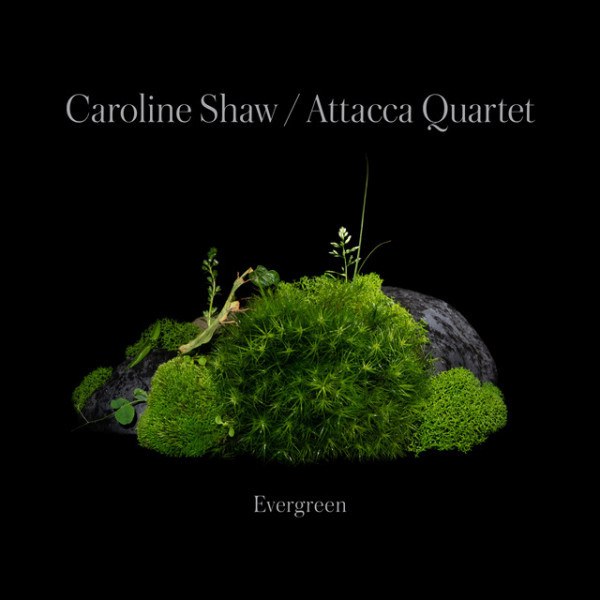 CD Caroline Shaw / Attacca Quartet — Evergreen фото