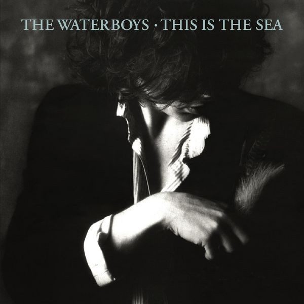 Waterboys - This Is The Sea