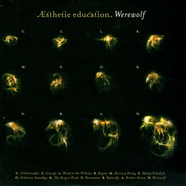 CD Aesthetic Education — Werewolf фото