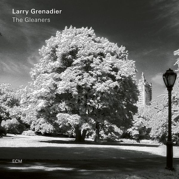 CD Larry Grenadier — Gleaners фото