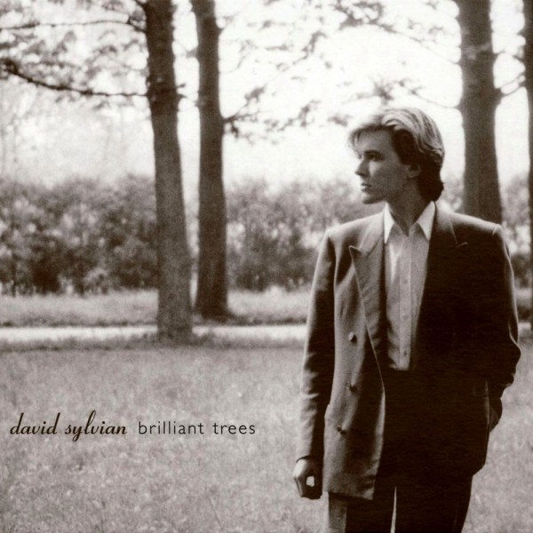 CD David Sylvian — Brilliant Trees фото