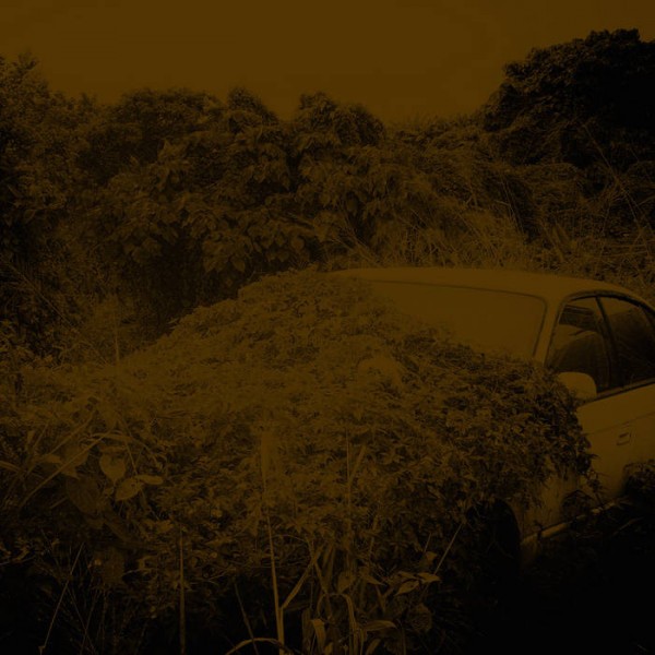 CD Yannick Dauby — Disaster Area = 3она бедствия фото