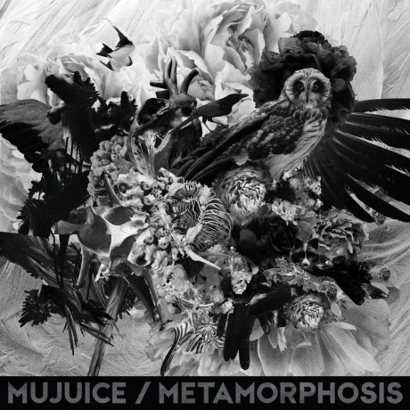 CD Mujuice — Metamorphosis фото