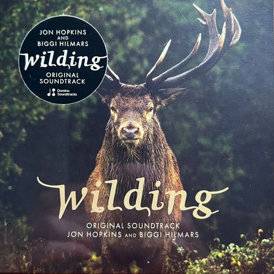 CD Jon Hopkins — Wilding фото