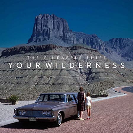 CD Pineapple Thief — Your Wilderness фото
