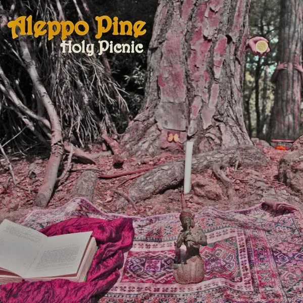 Aleppo Pine - Holy Picnic