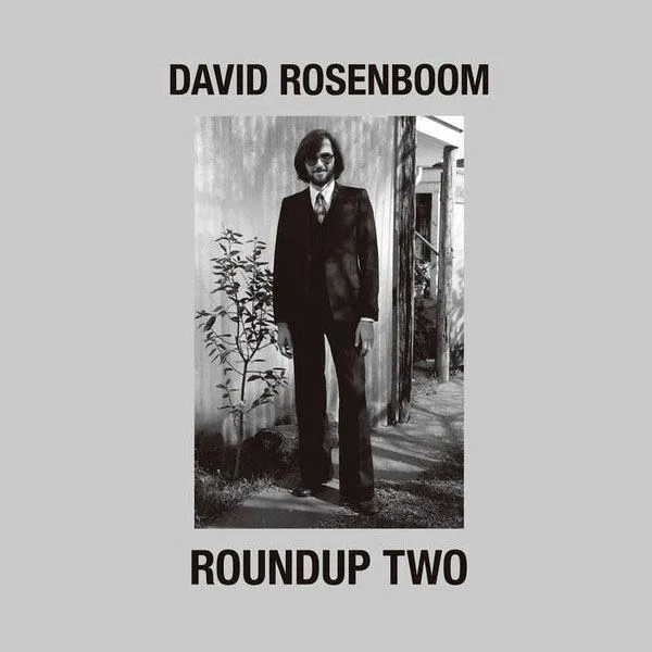 David Rosenboom - With Electro-Acoustic Landscapes (1968-1984))
