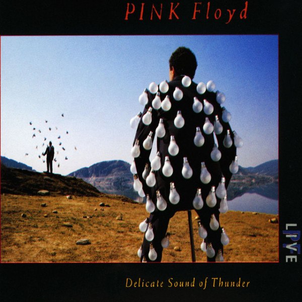 CD Pink Floyd — Delicate Sound Of Thunder (2CD) фото
