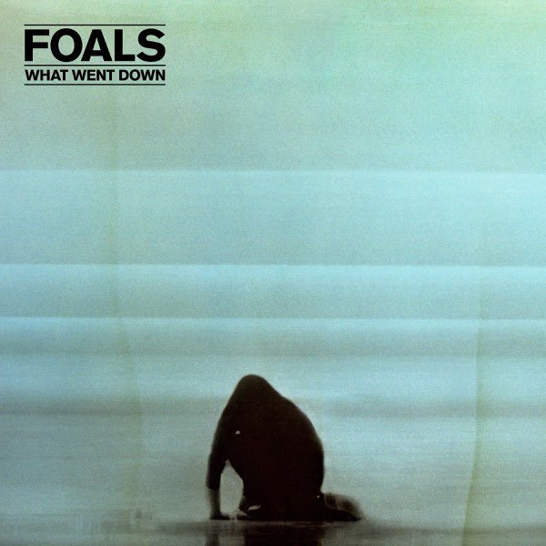 Foals - What Went Down (Deluxe Edition) (CD + DVD)