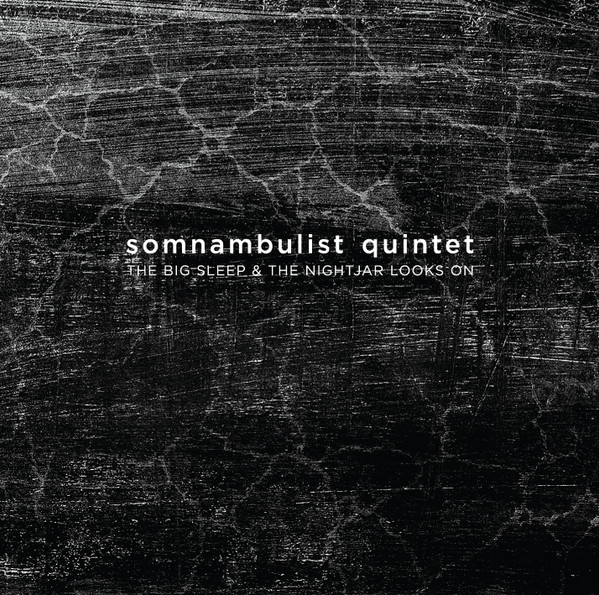 CD Somnambulist Quintet — Big Sleep & Nightjar Looks On фото