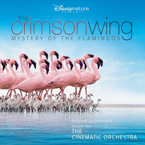 CD Cinematic Orchestra — Crimson Wing фото