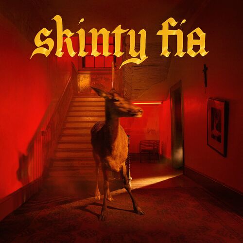 CD Fontaines D.C. — Skinty Fia фото