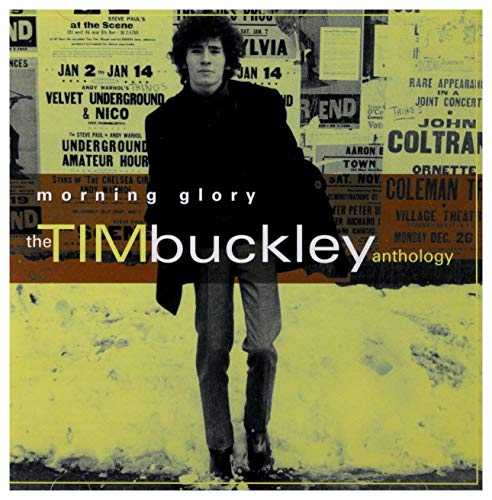 CD Tim Buckley — Morning Glory: The Anthology (2CD) фото