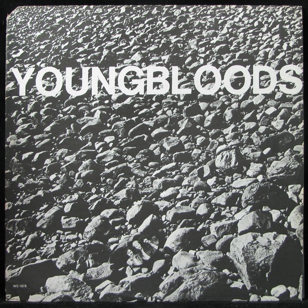 LP YoungBloods — Rock Festival фото