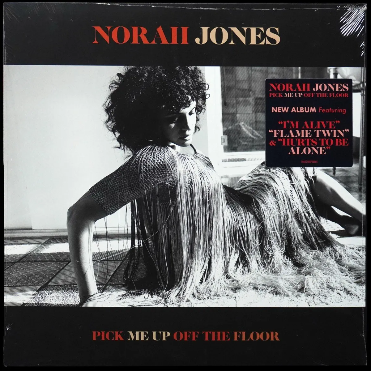 LP Norah Jones — Pick Me Up Off The Floor фото