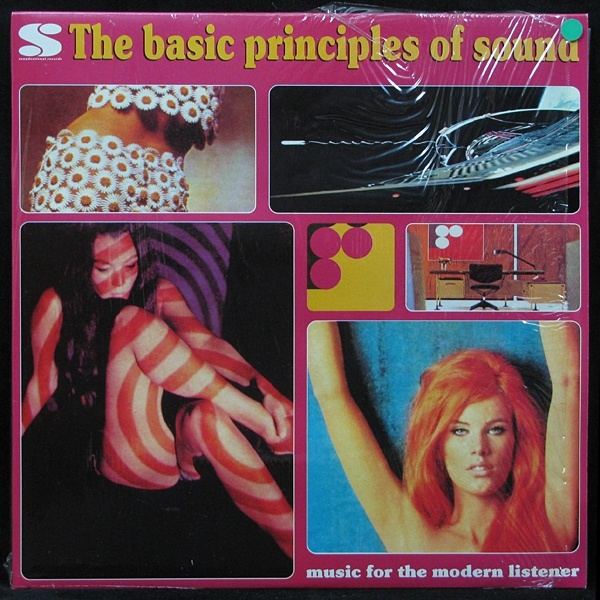 LP V/A — Basic Principles Of Sound (2LP) фото