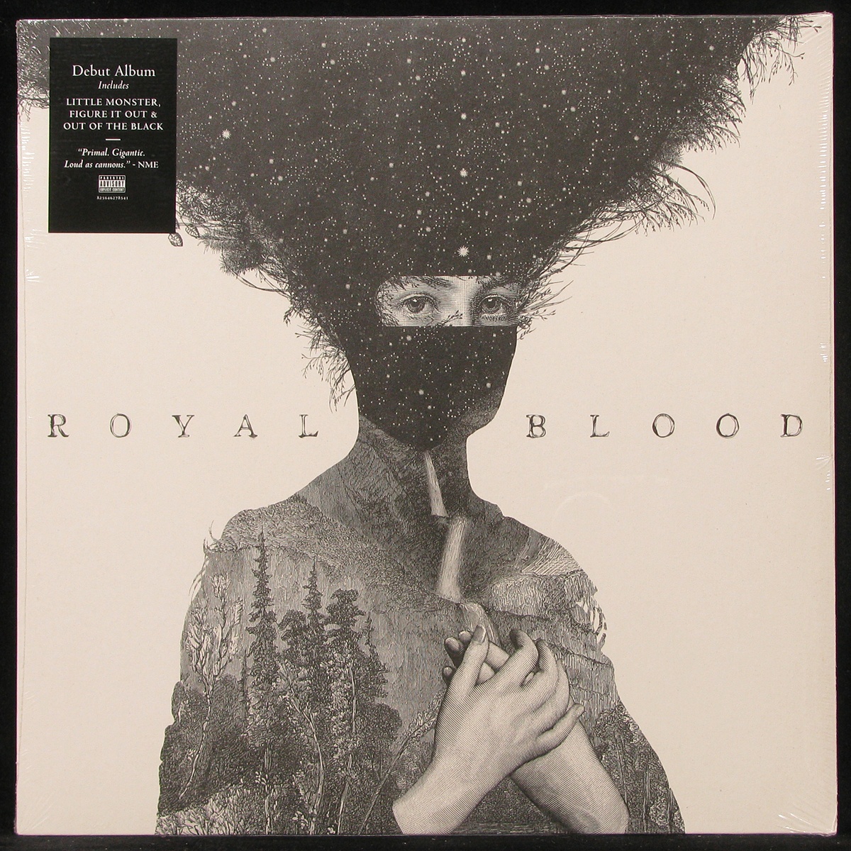 LP Royal Blood — Royal Blood фото