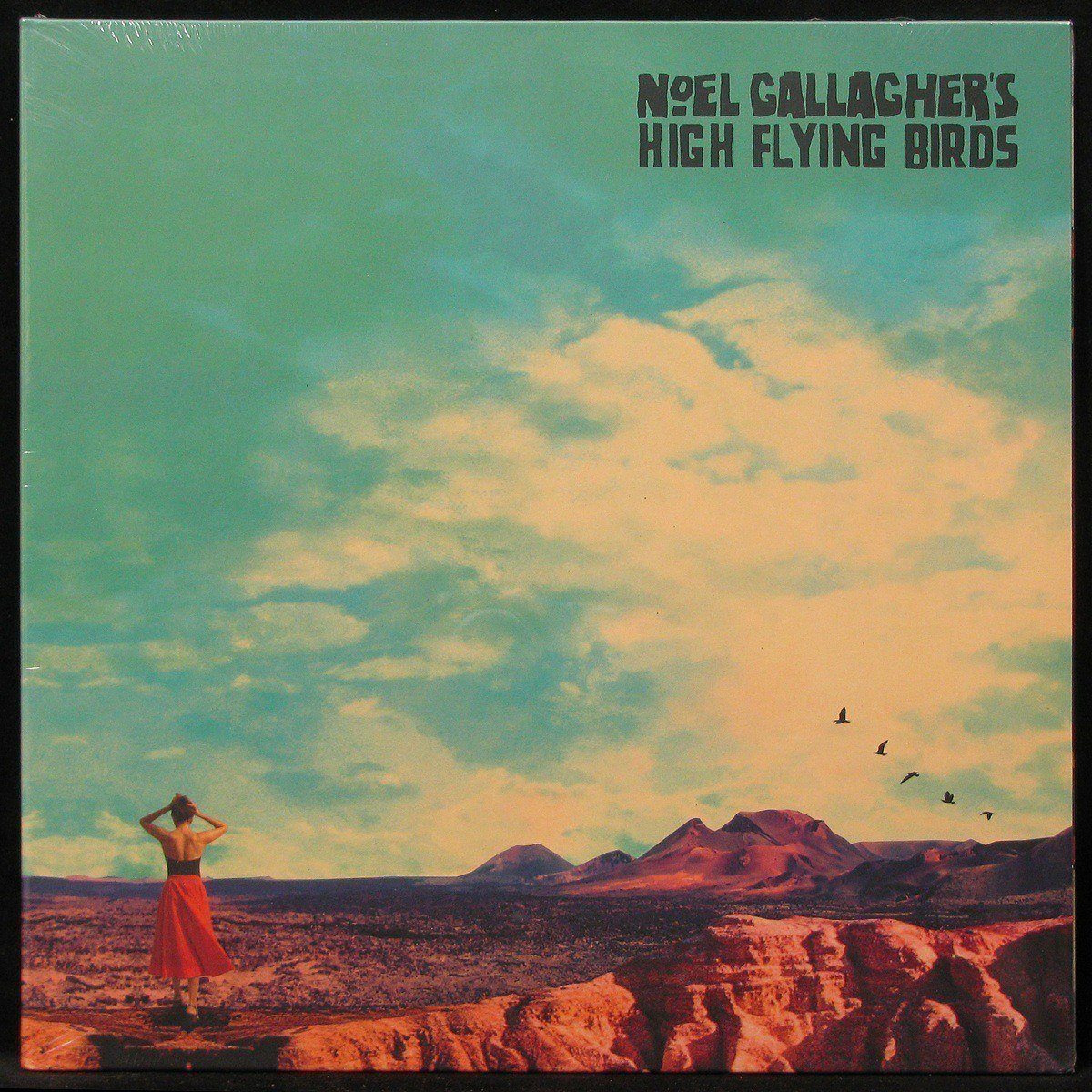LP Noel Gallagher's High Flying Birds — Who Built The Moon? фото