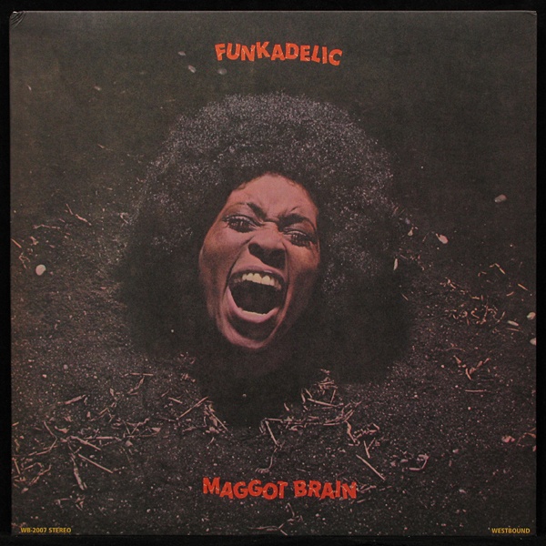 LP Funkadelic — Maggot Brain фото