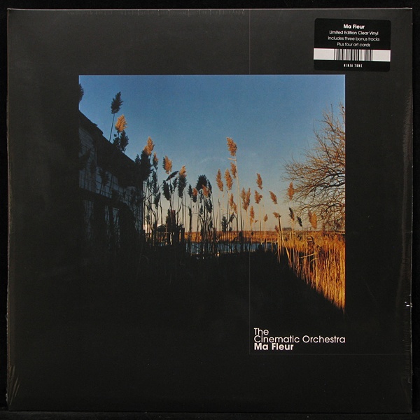 LP Cinematic Orchestra — Ma Fleur (coloured vinyl, 2LP) фото