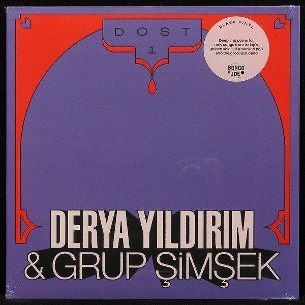 LP Derya Yildirim / Grup Simsek — Dost 1 фото