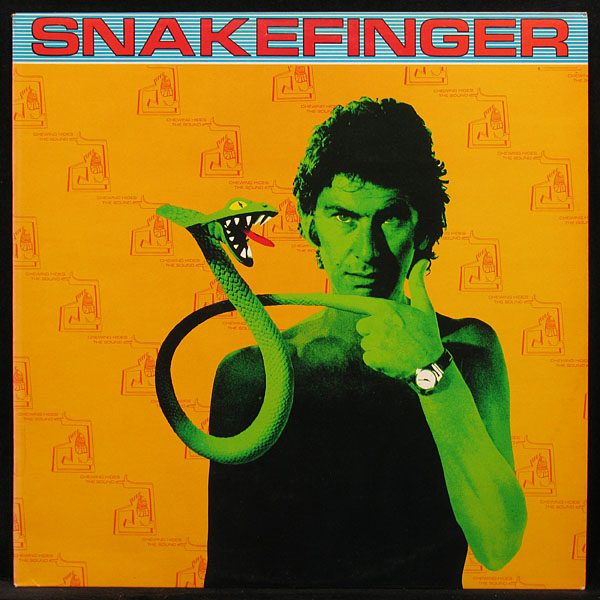 LP Snakefinger — Chewing Hides The Sound фото