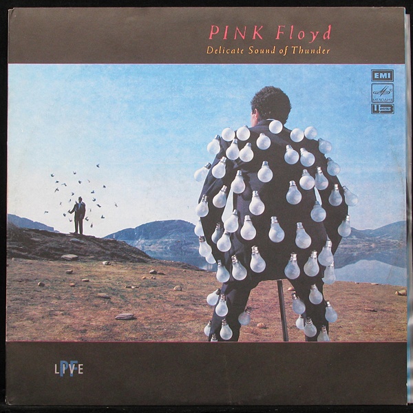 LP Pink Floyd — Delicate Sound Of Thunder (2LP) фото