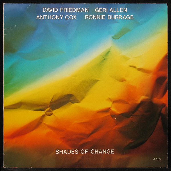 LP David Friedman + V/A — Shades Of Change фото