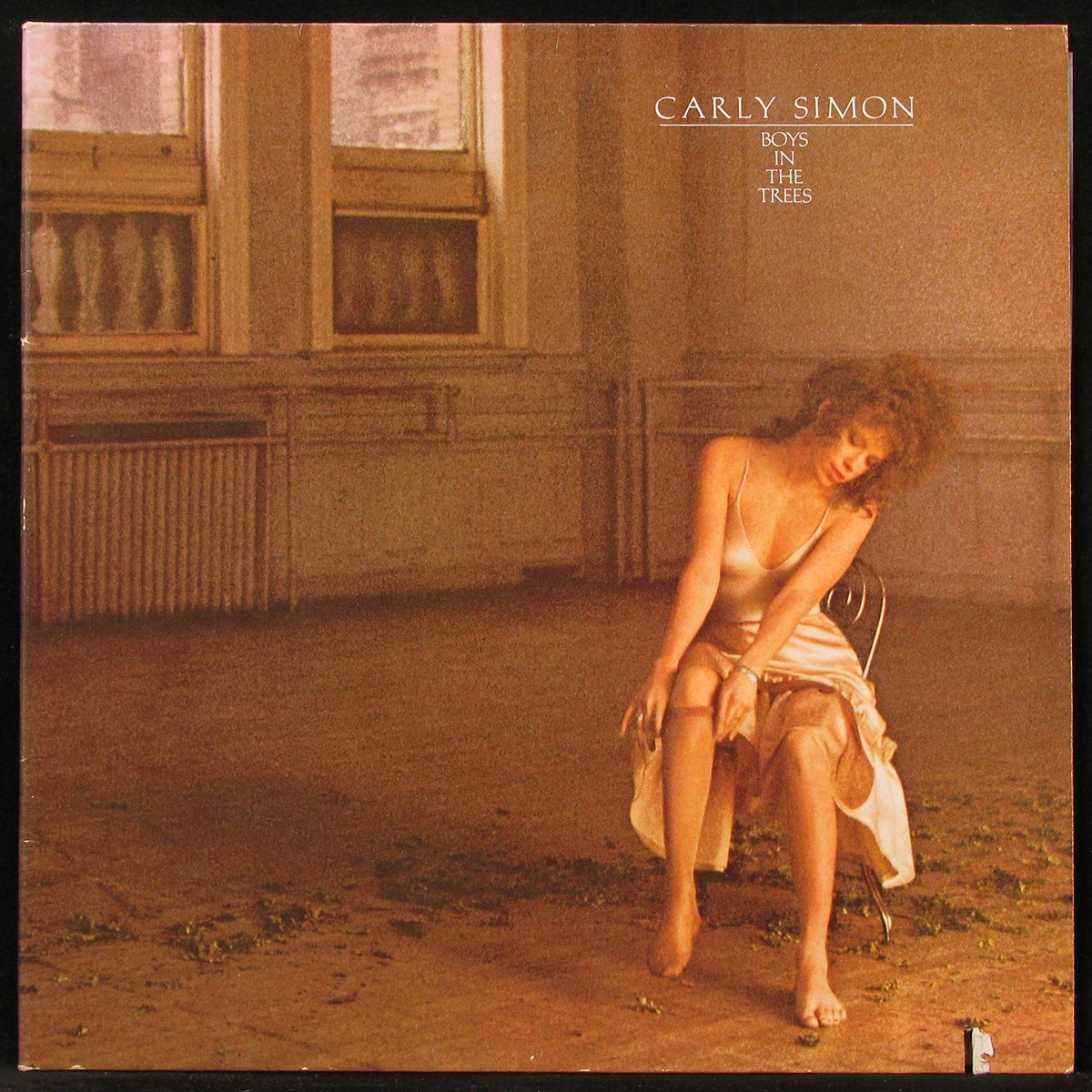 LP Carly Simon — Boys In The Trees фото