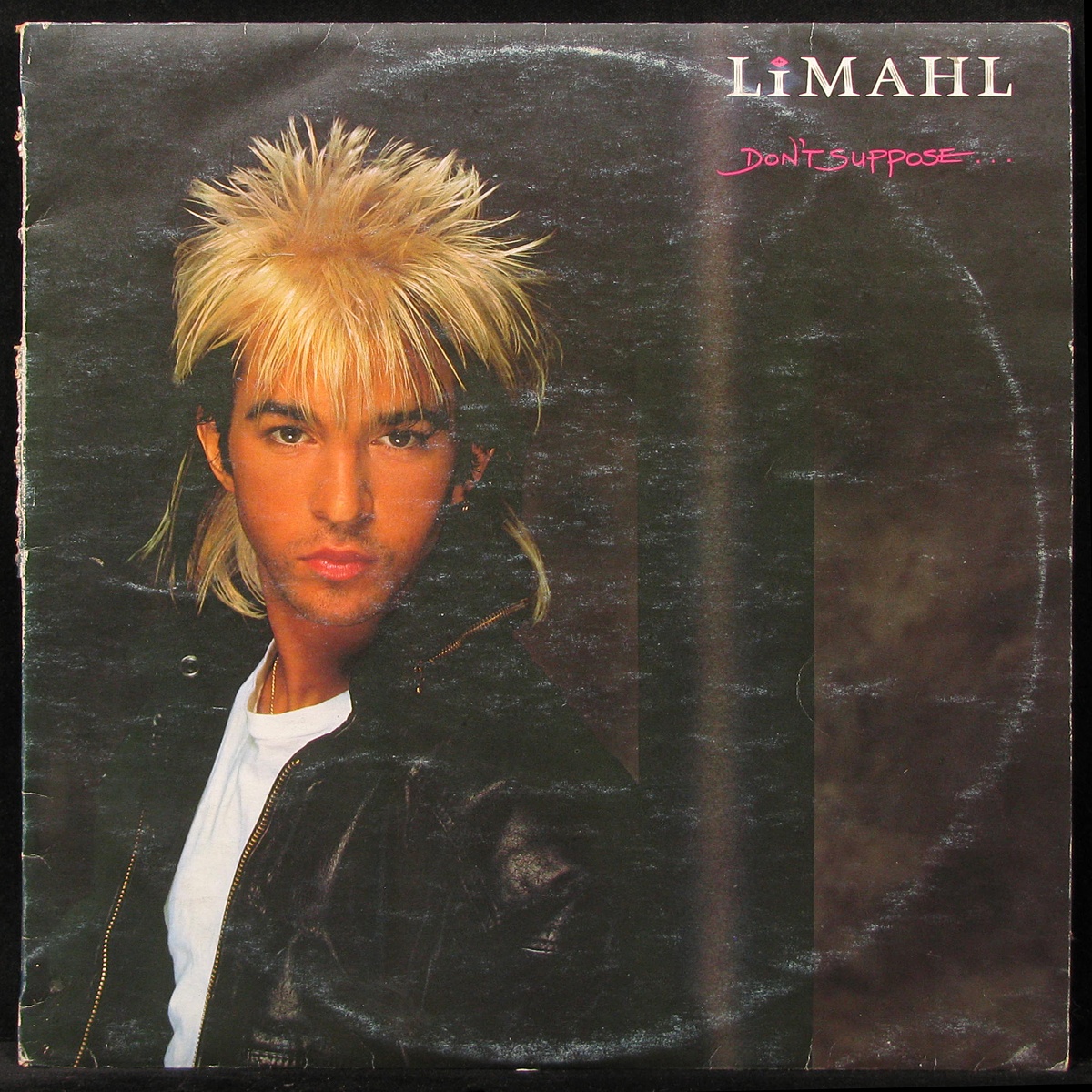 LP Limahl — Don't Suppose фото