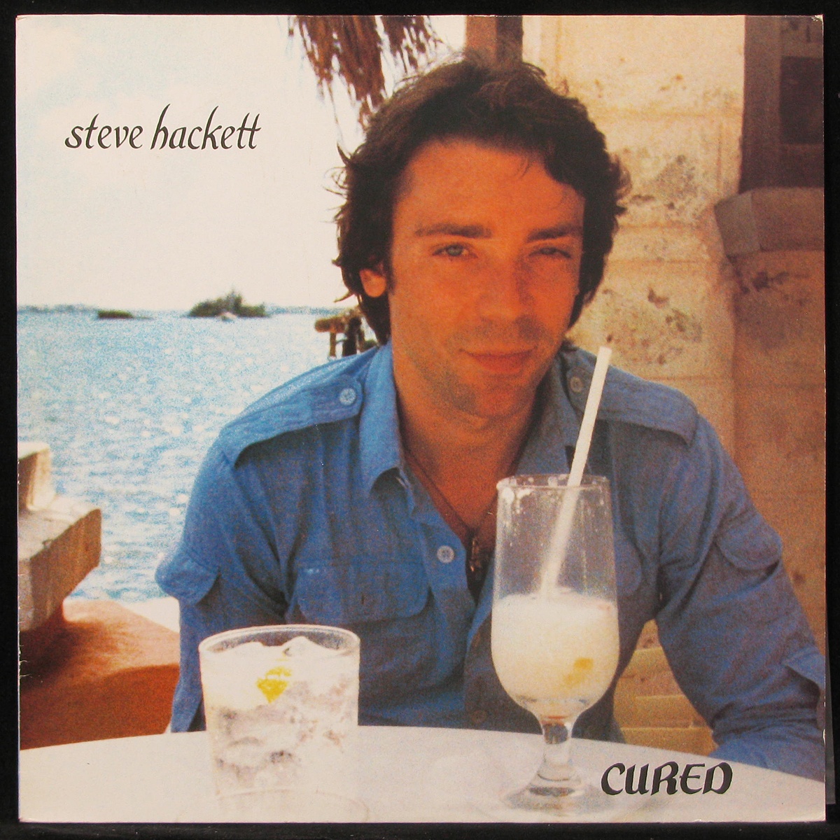 LP Steve Hackett — Cured фото