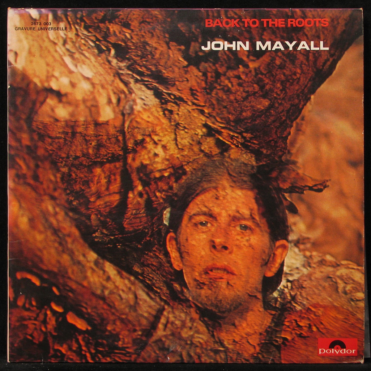 LP John Mayall — Back To The Roots (2LP) фото