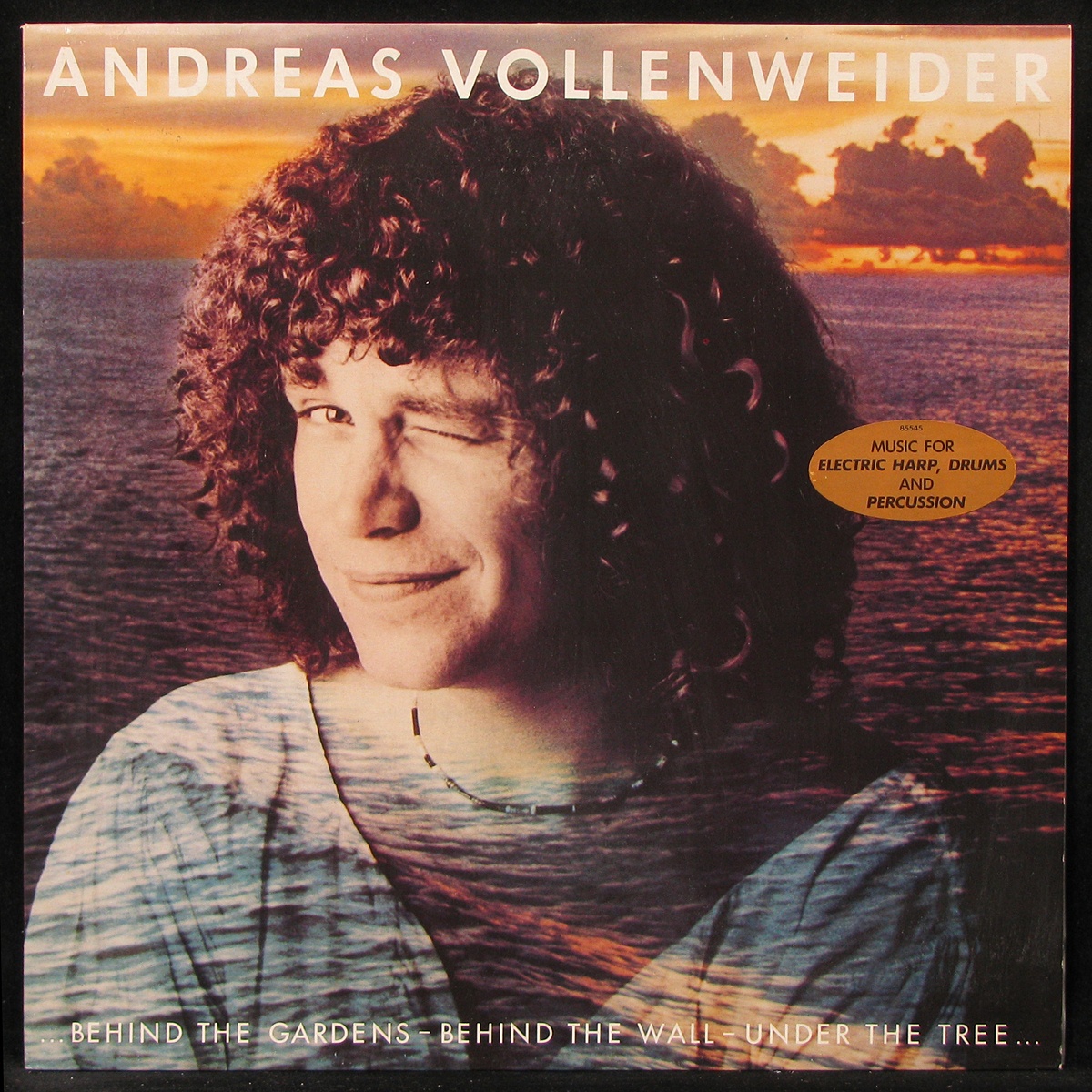 LP Andreas Vollenweider — Behind The Gardens - Behind The Wall фото