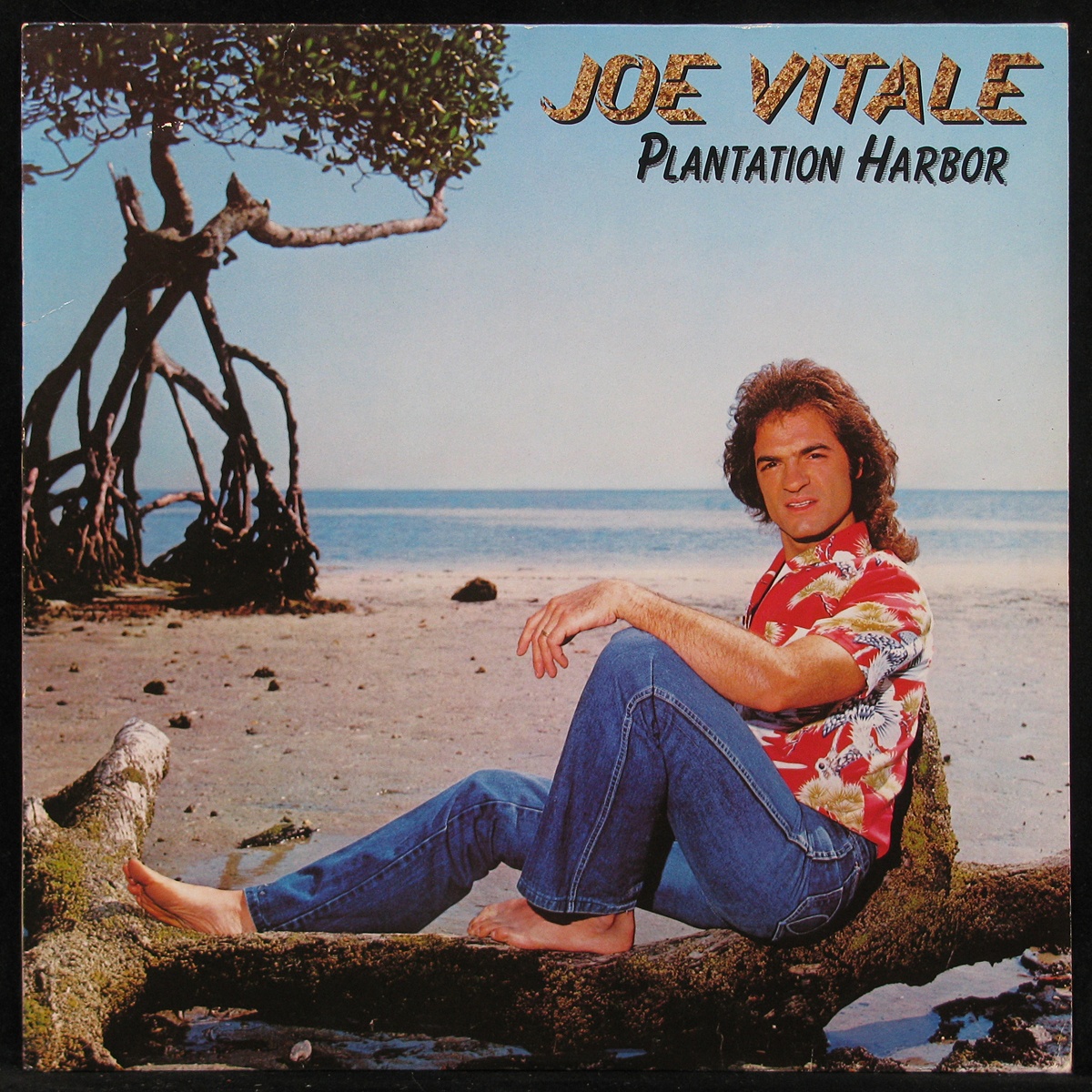 LP Joe Vitale — Plantation Harbor фото