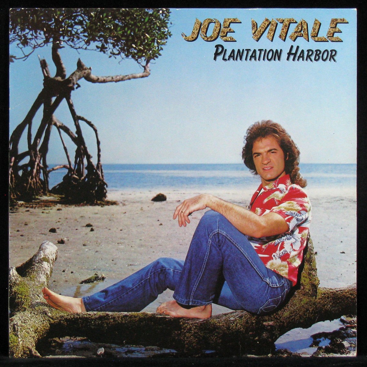 LP Joe Vitale — Plantation Harbor фото