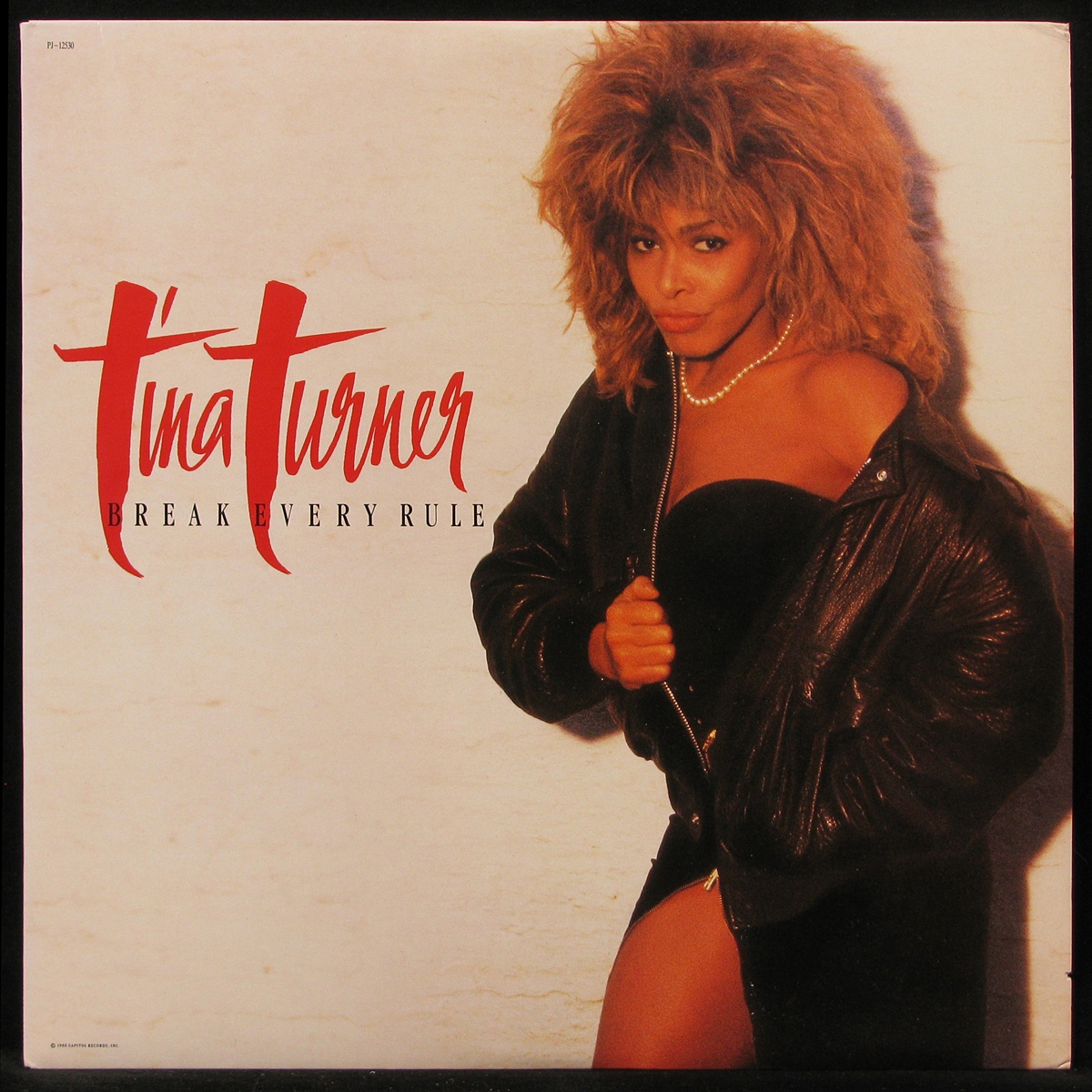 LP Tina Turner — Break Every Rule фото
