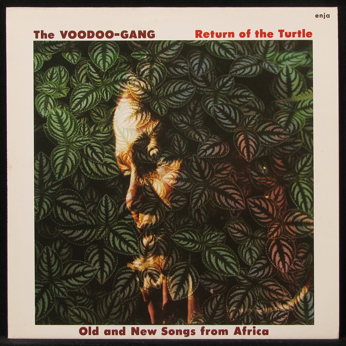 LP Voodoo Gang — Return Of The Turtle - Old And New Songs From Africa фото