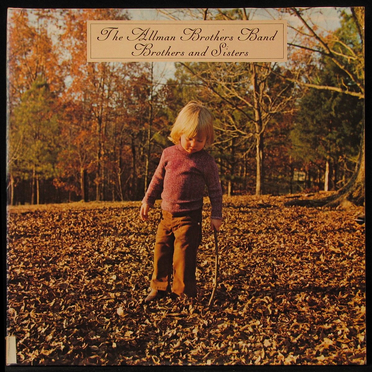 LP Allman Brothers Band — Brothers And Sisters фото