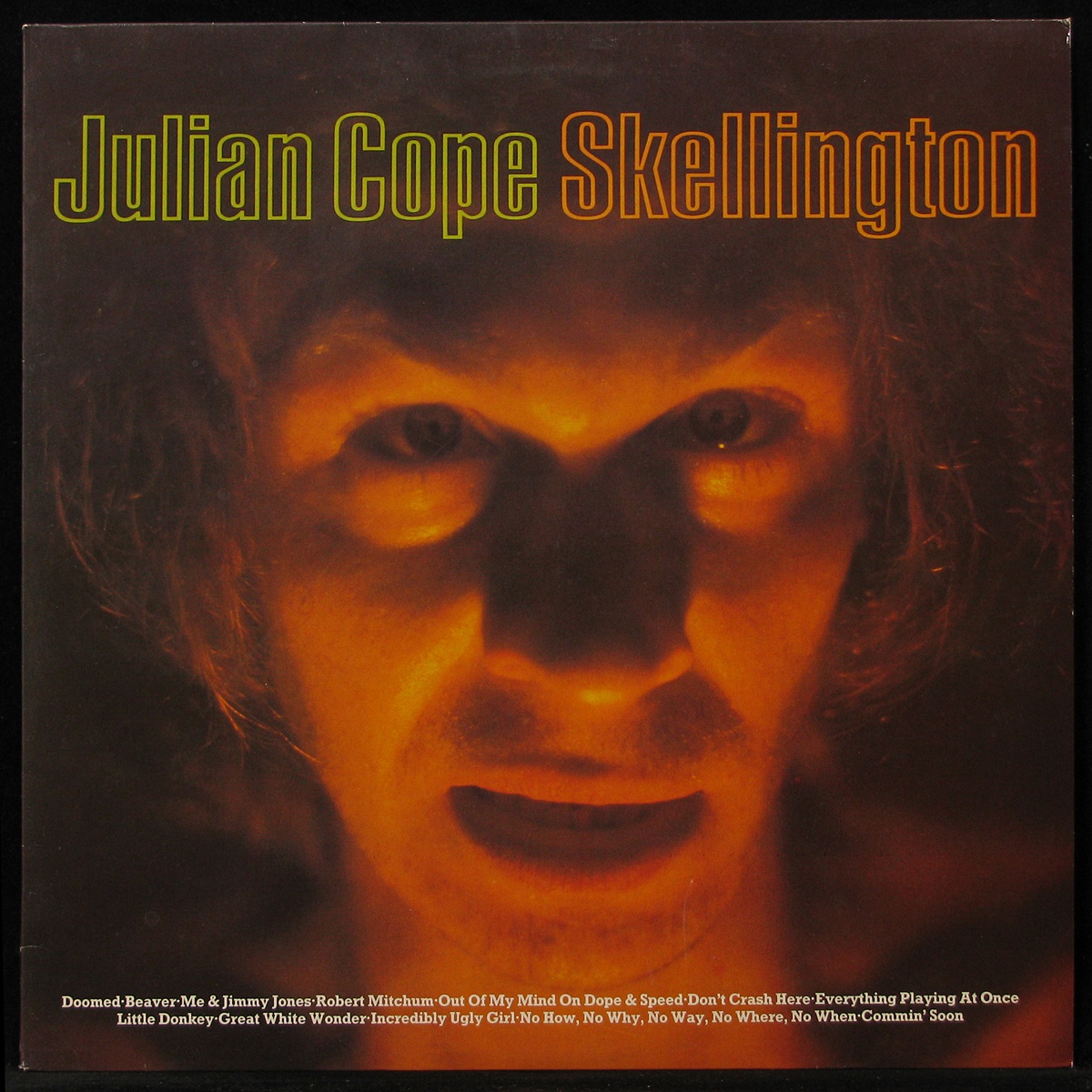LP Julian Cope — Skellington Chronicles фото