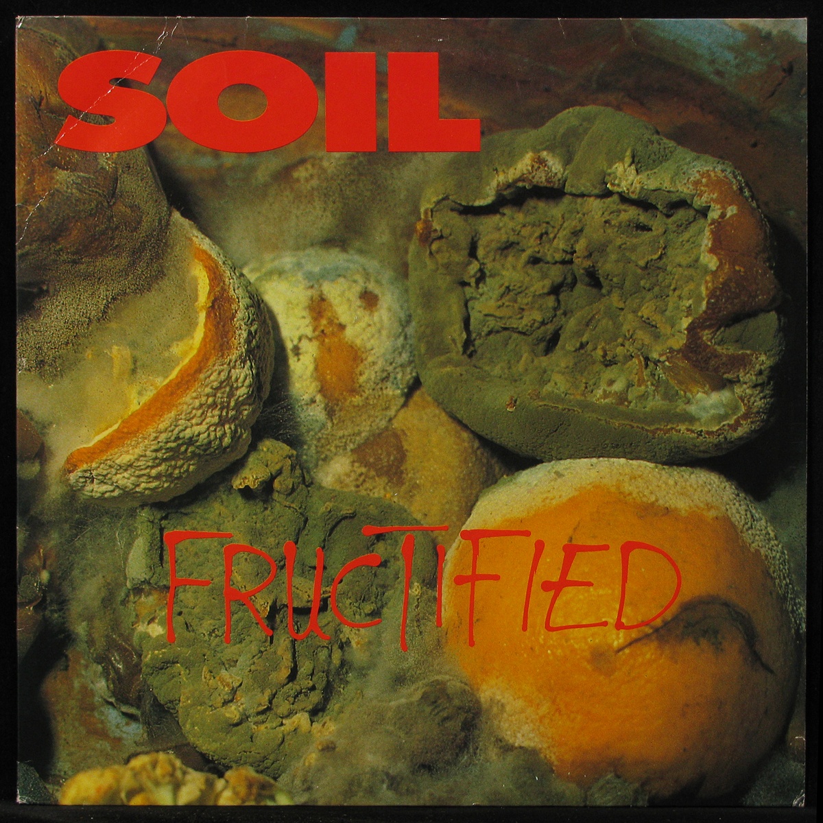 LP Soil — Fructified фото