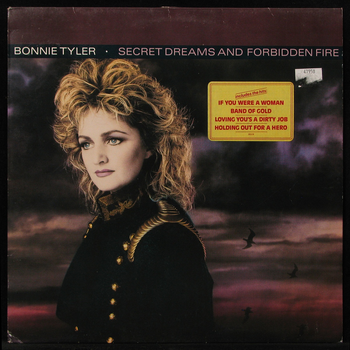 LP Bonnie Tyler — Secret Dreams And Forbidden Fire фото