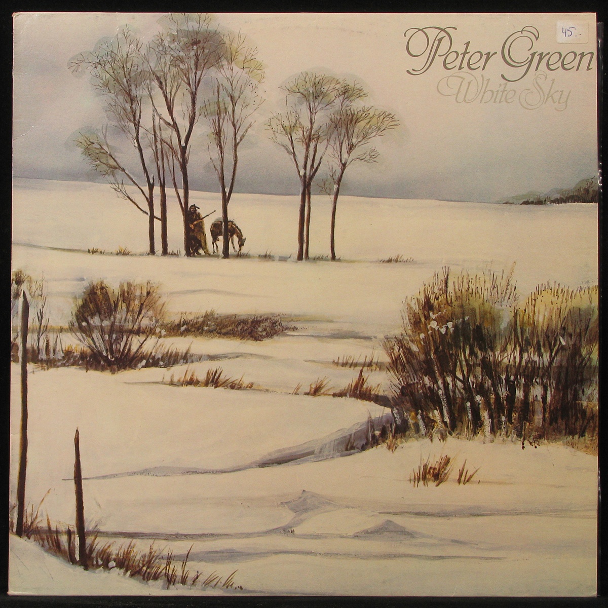LP Peter Green — White Sky фото