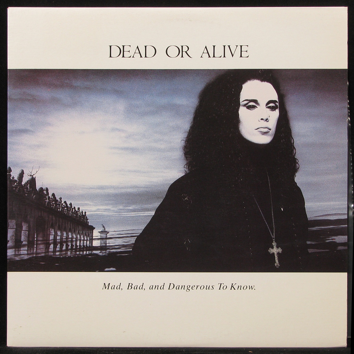 LP Dead Or Alive — Mad, Bad, And Dangerous To Know фото